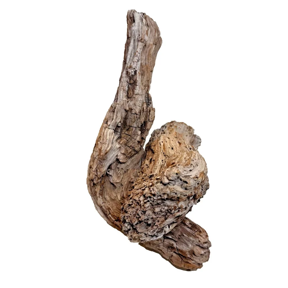 Set of 2 California Natural Driftwood Wavy Burlwood Terrarium Aquarium Craft